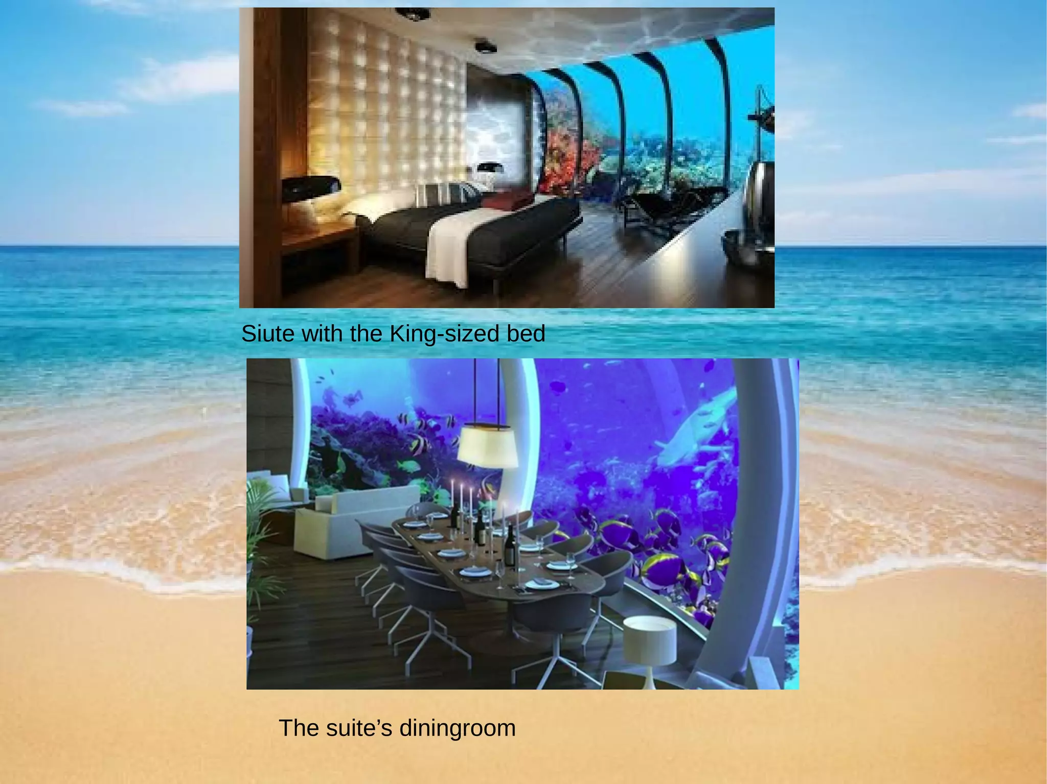 Poseidon Pools | Custom Pool Builder \u0026 Servicing Company, image size:2048x1535