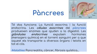 Pàncrees
Té dos funcions: La funció exocrina i la funció
endocrina. Les célules exocrines del pàncrees
produeixen enzimes que ajuden a la digestió. Les
glàndules endocrines expulsen hormones
(mensajers químics) en el torrent sanguini per a que
aquest els transporte a diversos òrgans i teixits en
tot el cós.
Malalties: Pancreatitis, càncer, fibrosis quística...
 