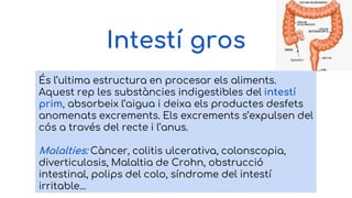 Intestí gros
És l’ultima estructura en procesar els aliments.
Aquest rep les substàncies indigestibles del intestí
prim, absorbeix l’aigua i deixa els productes desfets
anomenats excrements. Els excrements s’expulsen del
cós a través del recte i l’anus.
Malalties: Càncer, colitis ulcerativa, colonscopia,
diverticulosis, Malaltia de Crohn, obstrucció
intestinal, polips del colo, síndrome del intestí
irritable...
 