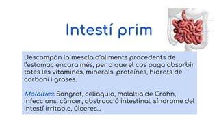 Intestí prim
Descompón la mescla d’aliments procedents de
l’estomac encara més, per a que el cos puga absorbir
totes les vitamines, minerals, proteínes, hidrats de
carboni i grases.
Malalties: Sangrat, celiaquia, malaltia de Crohn,
infeccions, càncer, obstrucció intestinal, síndrome del
intestí irritable, úlceres...
 