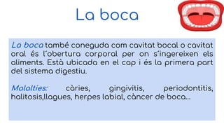 La boca
La boca també coneguda com cavitat bocal o cavitat
oral és l´obertura corporal per on s´ingereixen els
aliments. Està ubicada en el cap i és la primera part
del sistema digestiu.
Malalties: càries, gingivitis, periodontitis,
halitosis,llagues, herpes labial, càncer de boca…
 