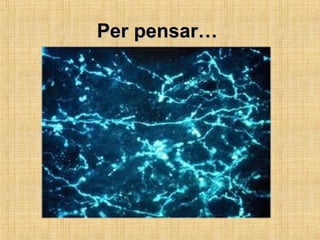 Per pensar…Per pensar…
 
