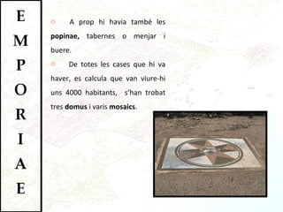 A prop hi havia també les  popinae,  tabernes o menjar i buere. De totes les cases que hi va haver, es calcula que van viure-hi uns 4000 habitants,  s’han trobat tres  domus  i varis  mosaics .  