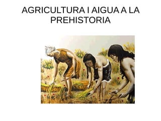 AGRICULTURA I AIGUA A LA
PREHISTORIA
 