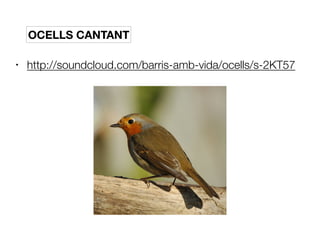 • http://soundcloud.com/barris-amb-vida/ocells/s-2KT57
OCELLS CANTANT
 