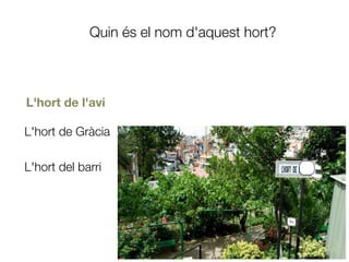 Quin és el nom d'aquest hort?
L'hort de l'avi
L'hort de Gràcia
L'hort del barri
 