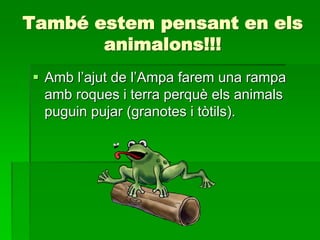 També estem pensant en els
animalons!!!
 Amb l’ajut de l’Ampa farem una rampa
amb roques i terra perquè els animals
puguin pujar (granotes i tòtils).
 