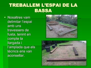 TREBALLEM L’ESPAI DE LA
BASSA
 Nosaltres vam
delimitar l’espai
amb uns
travessers de
fusta, tenint en
compte la
llargada i
l’amplada que els
tècnics ens van
aconsellar.
 