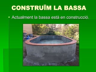 CONSTRUÏM LA BASSA
 Actualment la bassa està en construcció.
 