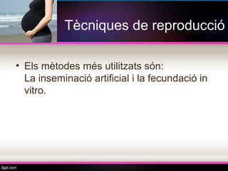 Tècniques de reproducció

• Els mètodes més utilitzats són:
  La inseminació artificial i la fecundació in
  vitro.
 