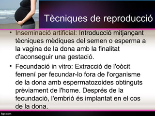 Tècniques de reproducció
• Inseminació artificial: Introducció mitjançant
  tècniques mèdiques del semen o esperma a
  la vagina de la dona amb la finalitat
  d'aconseguir una gestació.
• Fecundació in vitro: Extracció de l'oòcit
  femení per fecundar-lo fora de l'organisme
  de la dona amb espermatozoides obtinguts
  prèviament de l'home. Després de la
  fecundació, l'embrió és implantat en el cos
  de la dona.
 