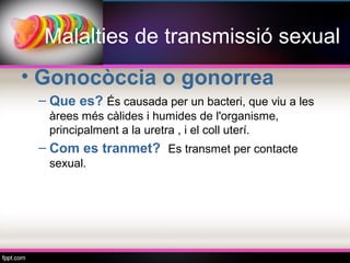 Malalties de transmissió sexual
• Gonocòccia o gonorrea
 – Que es? És causada per un bacteri, que viu a les
  àrees més càlides i humides de l'organisme,
  principalment a la uretra , i el coll uterí.
 – Com es tranmet? Es transmet per contacte
  sexual.
 