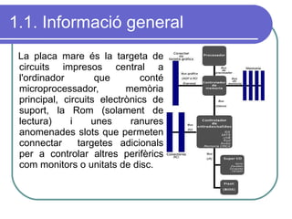 1.1. Informació general La placa mare és la targeta de circuits impresos central a l'ordinador que conté microprocessador, memòria principal, circuits electrònics de suport, la Rom (solament de lectura) i unes ranures anomenades slots que permeten connectar  targetes adicionals per a controlar altres perifèrics com monitors o unitats de disc. 