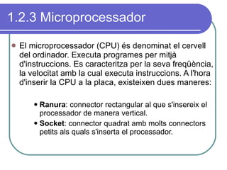 1.2.3 Microprocessador El microprocessador (CPU) és denominat el cervell del ordinador. Executa programes per mitjà d'instruccions. Es caracteritza per la seva freqüència, la velocitat amb la cual executa instruccions. A l'hora d'inserir la CPU a la placa, existeixen dues maneres: Ranura : connector rectangular al que s'insereix el processador de manera vertical. Socket : connector quadrat amb molts connectors petits als quals s'inserta el processador. 