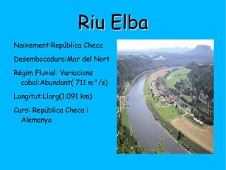Vessant Atlàntic -Riu Duero  -Riu Tajo -Riu Guadiana  -Riu Guadalquivir -Riu Shanon  -Riu Garona -Riu Glama  -Riu Dvina Occidental -Riu Torne  -Riu Ume  -Riu Vístula  -Riu Oder  -Riu Elba  -Riu Rin -Riu Sena  -Riu Tàmesi -Riu Loira 