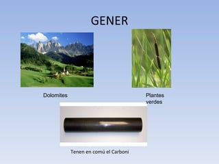 GENER Tenen en comú el Carboni Dolomites Plantes verdes 