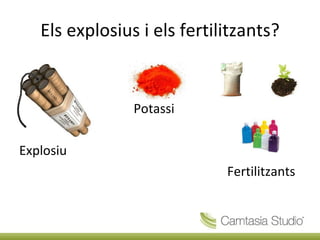 Els explosius i els fertilitzants? Potassi Explosiu Fertilitzants 