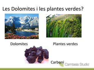 Les  Dolomites  i les plantes  verdes ? Dolomites   Plantes verdes Carboni 