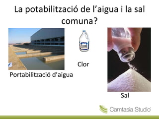 La potabilització de l’aigua i la sal comuna? Clor Portabilització d’aigua Sal 