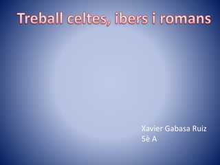 Xavier Gabasa Ruiz
5è A
 