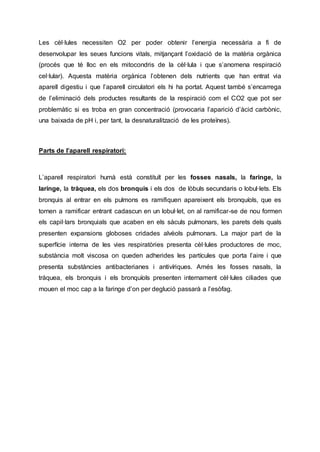 Les cèl·lules necessiten O2 per poder obtenir l’energia necessària a fi de
desenvolupar les seues funcions vitals, mitjançant l’oxidació de la matèria orgànica
(procés que té lloc en els mitocondris de la cèl·lula i que s’anomena respiració
cel·lular). Aquesta matèria orgànica l’obtenen dels nutrients que han entrat via
aparell digestiu i que l’aparell circulatori els hi ha portat. Aquest també s’encarrega
de l’eliminació dels productes resultants de la respiració com el CO2 que pot ser
problemàtic si es troba en gran concentració (provocaria l’aparició d’àcid carbònic,
una baixada de pH i, per tant, la desnaturalització de les proteïnes).
Parts de l’aparell respiratori:
L’aparell respiratori humà està constituït per les fosses nasals, la faringe, la
laringe, la tràquea, els dos bronquis i els dos de lòbuls secundaris o lobul·lets. Els
bronquis al entrar en els pulmons es ramifiquen apareixent els bronquíols, que es
tornen a ramificar entrant cadascun en un lobul·let, on al ramificar-se de nou formen
els capil·lars bronquials que acaben en els sàculs pulmonars, les parets dels quals
presenten expansions globoses cridades alvèols pulmonars. La major part de la
superfície interna de les vies respiratòries presenta cèl·lules productores de moc,
substància molt viscosa on queden adherides les partícules que porta l’aire i que
presenta substàncies antibacterianes i antivíriques. Amés les fosses nasals, la
tràquea, els bronquis i els bronquíols presenten internament cèl·lules ciliades que
mouen el moc cap a la faringe d’on per deglució passarà a l’esòfag.
 