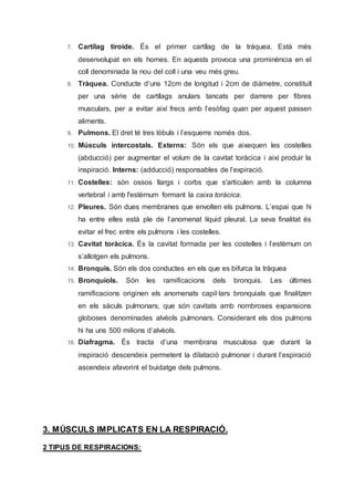 7. Cartílag tiroide. És el primer cartílag de la tràquea. Està més
desenvolupat en els homes. En aquests provoca una prominència en el
coll denominada la nou del coll i una veu més greu.
8. Tràquea. Conducte d’uns 12cm de longitud i 2cm de diàmetre, constituït
per una sèrie de cartílags anulars tancats per darrere per fibres
musculars, per a evitar així frecs amb l’esòfag quan per aquest passen
aliments.
9. Pulmons. El dret té tres lòbuls i l’esquerre només dos.
10. Músculs intercostals. Externs: Són els que aixequen les costelles
(abducció) per augmentar el volum de la cavitat toràcica i així produir la
inspiració. Interns: (adducció) responsables de l’expiració.
11. Costelles: són ossos llargs i corbs que s'articulen amb la columna
vertebral i amb l'estèrnum formant la caixa toràcica.
12. Pleures. Són dues membranes que envolten els pulmons. L’espai que hi
ha entre elles està ple de l’anomenat líquid pleural. La seva finalitat és
evitar el frec entre els pulmons i les costelles.
13. Cavitat toràcica. És la cavitat formada per les costelles i l’estèrnum on
s’allotgen els pulmons.
14. Bronquis. Són els dos conductes en els que es bifurca la tràquea
15. Bronquíols. Són les ramificacions dels bronquis. Les últimes
ramificacions originen els anomenats capil·lars bronquials que finalitzen
en els sàculs pulmonars, que són cavitats amb nombroses expansions
globoses denominades alvèols pulmonars. Considerant els dos pulmons
hi ha uns 500 milions d’alvèols.
16. Diafragma. És tracta d’una membrana musculosa que durant la
inspiració descendeix permetent la dilatació pulmonar i durant l’espiració
ascendeix afavorint el buidatge dels pulmons.
3. MÚSCULS IMPLICATS EN LA RESPIRACIÓ.
2 TIPUS DE RESPIRACIONS:
 