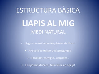 ESTRUCTURA BÀSICA
LlAPIS AL MIG
MEDI NATURAL
• Llegim un text sobre les plantes de l’hort.
• Ara toca contestar unes preguntes.
• Escoltam, corregim, ampliam…
• Ens posam d’acord i feim feina en equip!
 