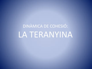 DINÀMICA DE COHESIÓ:
LA TERANYINA
 