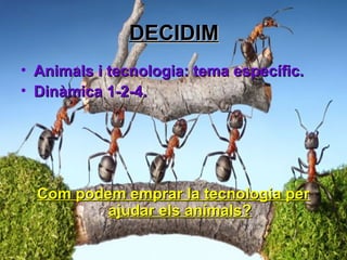 DECIDIMDECIDIM
• Animals i tecnologia: tema específic.Animals i tecnologia: tema específic.
• Dinàmica 1-2-4.Dinàmica 1-2-4.
Com podem emprar la tecnologia perCom podem emprar la tecnologia per
ajudar els animals?ajudar els animals?
 