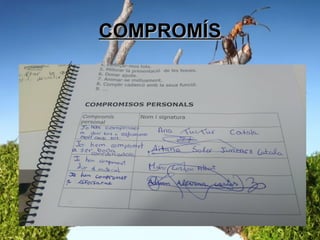 COMPROMÍSCOMPROMÍS
 
