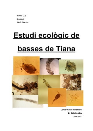 Mireia C.E
Montgat
Prof. Eva Pla
Estudi ecològic de
basses de Tiana
Javier Alfaro Retamero
2n Batxillerat A
13/11/2017
 