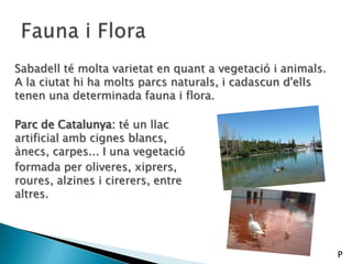 Sabadell té molta varietat en quant a vegetació i animals.
A la ciutat hi ha molts parcs naturals, i cadascun d'ells
tenen una determinada fauna i flora.
Parc de Catalunya: té un llac
artificial amb cignes blancs,
ànecs, carpes... I una vegetació
formada per oliveres, xiprers,
roures, alzines i cirerers, entre
altres.
P
 
