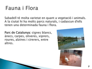 Sabadell té molta varietat en quant a vegetació i animals.
A la ciutat hi ha molts parcs naturals, i cadascun d'ells
tenen una determinada fauna i flora.
Parc de Catalunya: cignes blancs,
ànecs, carpes, oliveres, xiprers,
roures, alzines i cirerers, entre
altres.
P
 