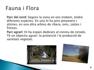 Parc del nord: Segons la zona on ens trobem, tindrà
diferents espècies. En una hi ha pins pinyoners i
alzines, en una altra arbres de ribera, oms, salzes i
freixes.
Parc agrari: Hi ha espais dedicats al conreu de cereals.
Té un objectiu agrari: la protecció i la producció de
varietats vegetals.
P
 