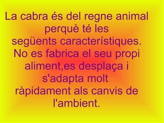 La cabra és del regne animal perquè té les següents característiques. No es fabrica el seu propi aliment,es desplaça i s'adapta molt  ràpidament als canvis de l'ambient. 