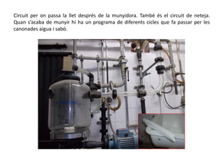 Circuit per on passa la llet després de la munyidora. També és el circuit de neteja.
Quan s’acaba de munyir hi ha un programa de diferents cicles que fa passar per les
canonades aigua i sabó.
 