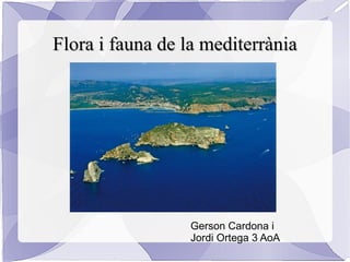 Flora i fauna de la mediterrània




                 Gerson Cardona i
                 Jordi Ortega 3 AoA
 