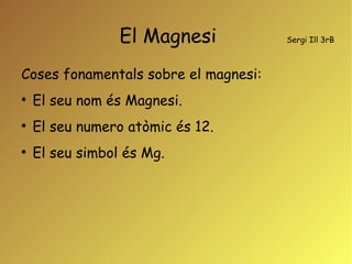 El Magnesi  Sergi Ill 3rB ,[object Object],[object Object],[object Object],[object Object]