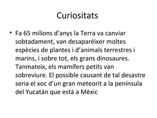 Curiositats
• Fa 65 milions d’anys la Terra va canviar
  sobtadament, van desaparéixer moltes
  espècies de plantes i d’animals terrestres i
  marins, i sobre tot, els grans dinosaures.
  Tanmateix, els mamífers petits van
  sobreviure. El possible causant de tal desastre
  seria el xoc d’un gran meteorit a la península
  del Yucatán que està a Mèxic
 