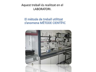 Aquest treball és realitzat en el
         LABORATORI.
 