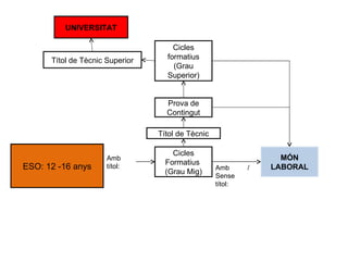 ESO: 12 -16 anys Amb títol: Cicles Formatius  (Grau Mig) Amb / Sense títol: Títol de Tècnic Prova de Contingut Cicles formatius (Grau Superior) MÓN LABORAL Títol de Tècnic Superior UNIVERSITAT 