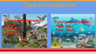 Tipus d’ecosistemes
-Ecosistemes terrestres:
· Boscos
· Praderies
· Deserts
-Ecosistemes Aquàtics:
· Aigua dolça
· Aigua salada
 