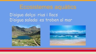 Ecosistemes aquàtics
D’aigua dolça: rius i llacs
D’aigua salada: es troben al mar
 