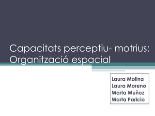 Capacitats perceptiu- motrius: Organització espacial Laura Molina Laura Moreno Marta Muñoz  Marta  Paricio  