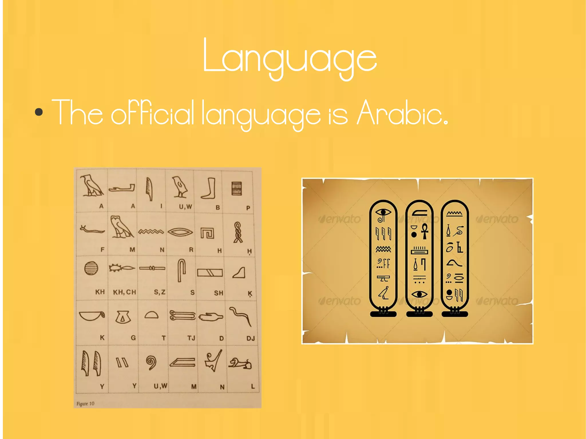 Language
●
The of ficial language is Arabic.