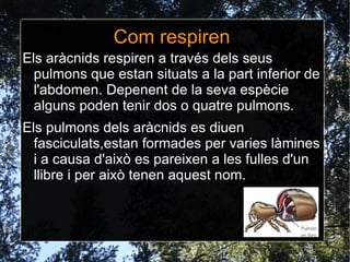 Altres curiositats que heu après i voleu compartir amb tots nosaltres. 