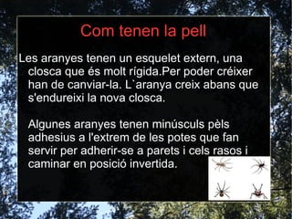 Pàgines web consultades o llibres consultats   