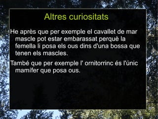 Son  invertebrats Els aràcnids són uns animals invertebrats perquè no posseeixen ossos ni columna vertebral .Tenen el cos bla i tenen potes articulades. Es  troben dins dels artròpodes i estan ubicades en la classe dels aràcnids . 