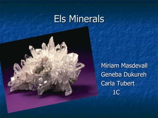 Els Minerals ,[object Object],[object Object],[object Object],[object Object]