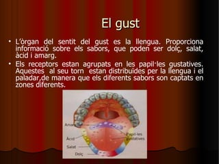 Els sentits | PPT